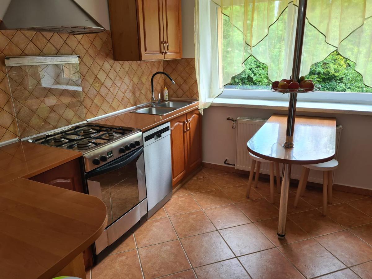 Świeradów-Zdrój Apartament Pod Wieza Sky Walk מראה חיצוני תמונה